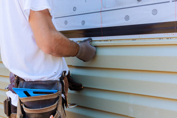 Best Vinyl Siding Installation  in Danville, IN