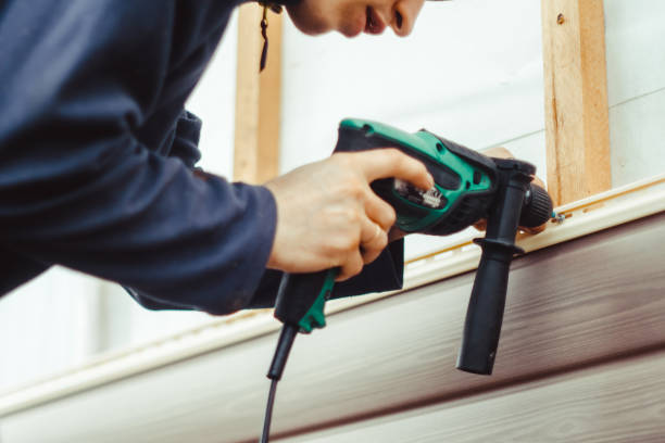 Best Insulated Siding Installation  in Danville, IN